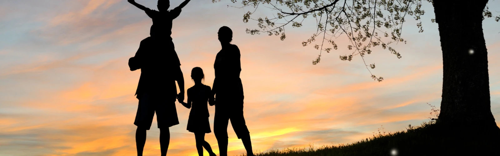 Fun Activities in San Diego for Couples, Families & Solo Travelers
