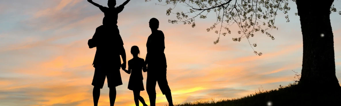 Fun Activities in San Diego for Couples, Families & Solo Travelers