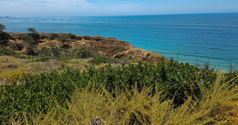 Top Things to Do in San Diego: Best Attractions, Beaches & Hidden Gems