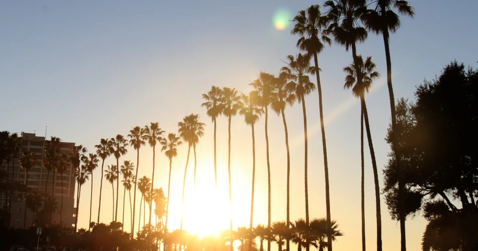 Ultimate San Diego Travel Guide: What to See, Eat & Explore