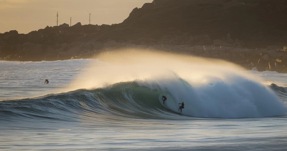 Best Beaches in San Diego You Must Visit