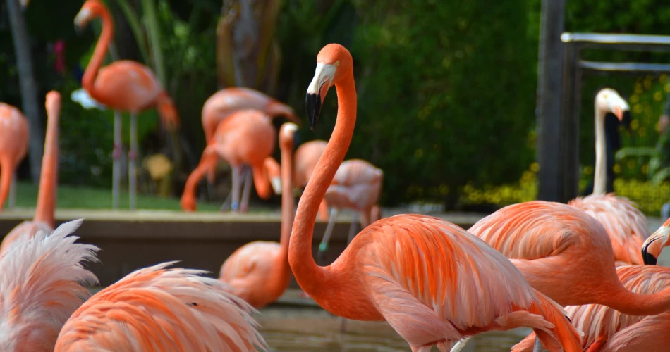 Fun Activities in San Diego for Couples, Families & Solo Travelers