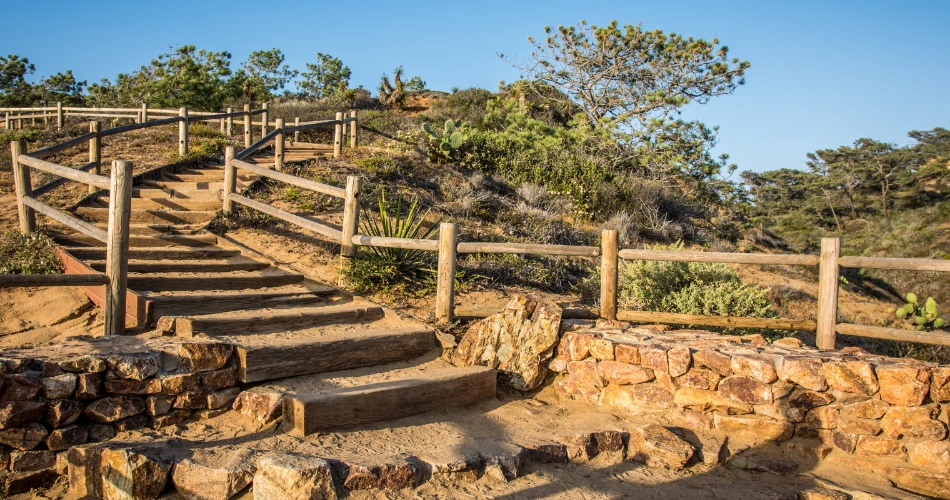 Family-Friendly Things to Do in San Diego: Parks, Zoos & Activities